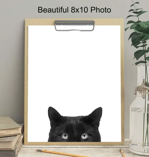 Miniatura 3 de Foto artística de pared de gato negro, impresión única de 8 x 10 pulgadas, moderna, contemporánea, 8 x 10 pulgadas, regalo para animales, mascotas