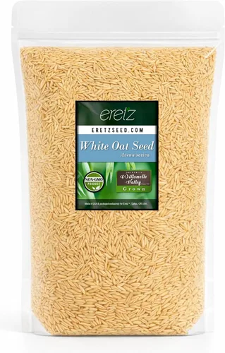 Miniatura 9 de Semilla de avena blanca de Eretz (25 libras) – ¡Elige el tamaño! Granos de avena cultivados en Oregon, sin rellenos, sin recubrimientos, sin