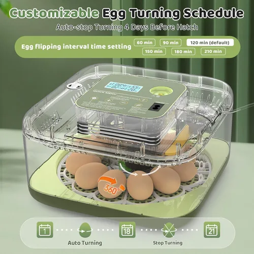 Miniatura 5 de Incubadoras para incubar huevos de 12 huevos, incubadora digital de huevos de precisión, control automático de humedad de temperatura de 6