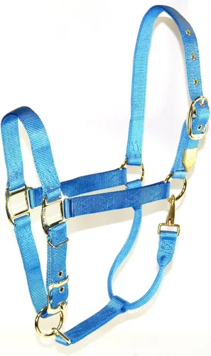 Hamilton, Halter de 1 pulgada con barbilla ajustable, azul baya, 800-1100 libras