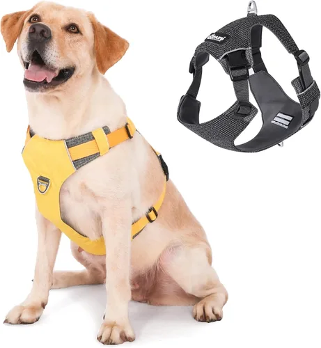 Miniatura 7 de LIOPARD Arnés para perro, arnés para mascotas fácil de caminar sin tirones, con 2 clips para correa, chaleco reflectante suave acolchado ajustable
