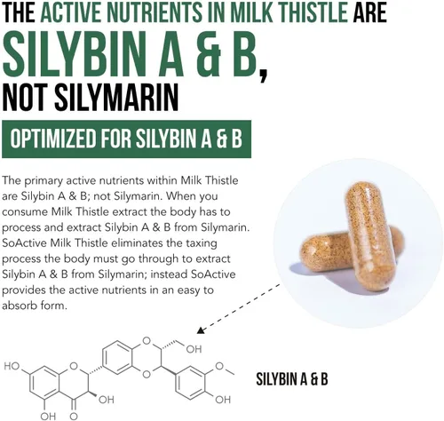 Miniatura 6 de SoActive® Milk Thistle: fitosoma de cardo mariano 10 veces más eficaz, optimizado para silybina bioactiva esencial A & B Plus Bilear® extracto