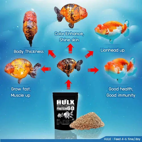 Miniatura 4 de HULX Goldfish - Pellets de hundimiento de alimentos para gran músculo y aumento de peso masivo, suero mezclado con alto contenido de proteínas, 60%