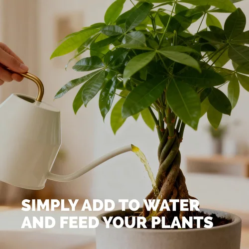 Miniatura 5 de Fertilizante para árbol del dinero para árboles del dinero y todas las plantas de Pachira, alimento líquido para plantas 8 oz (250mL)