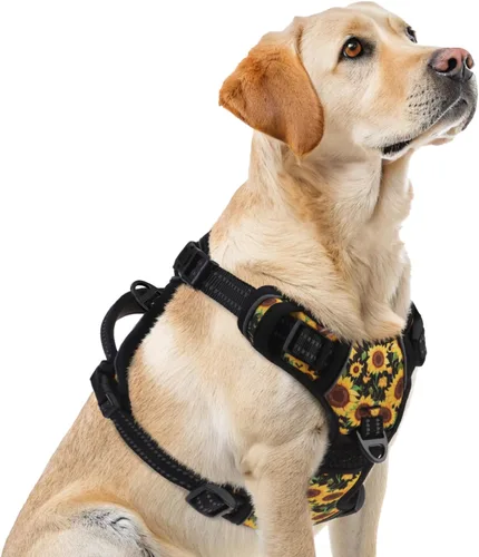 Miniatura 16 de PUPTECK Arnés para perro sin tirones para perros grandes, arnés para perro ajustable reflectante con mango de fácil control, arnés para mascotas