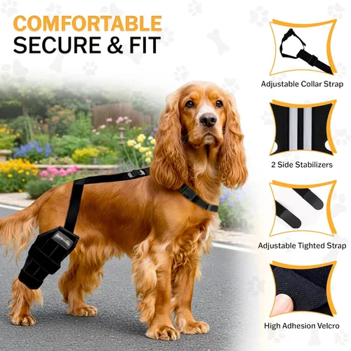 Miniatura 4 de Rodillera para perro – Soporte ajustable para pierna trasera para desgarro de ACL, dolor en las articulaciones, artritis y recuperación de lesiones.