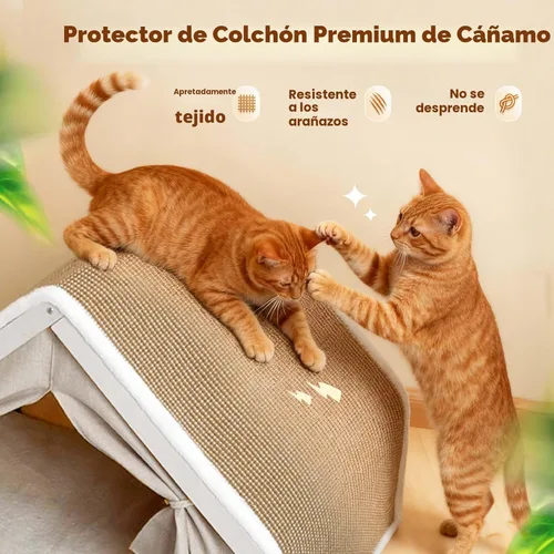 Miniatura 3 de Casas para gatos de interior – Cama para gatos de 4 estaciones con sisal natural rascador para gatos, marco de madera maciza con cortinas y alfombra