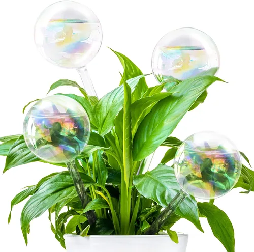 Miniatura 10 de Pynqdfu 2 globos de riego de plantas, dispositivos de riego de vidrio degradado de arco iris, accesorios de plantas de riego automático