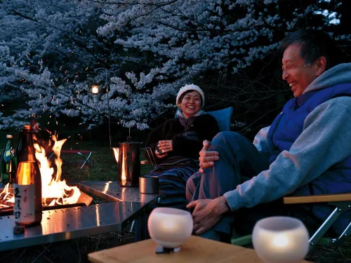 Miniatura 3 de Moss Hozuki LED Tabletop Lantern by Snow Peak