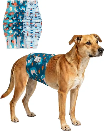 Miniatura 35 de CuteBone - Pañales lavables para perro macho, banda abdominal, paquete de 3 unidades, color negro, modelo DM54XS