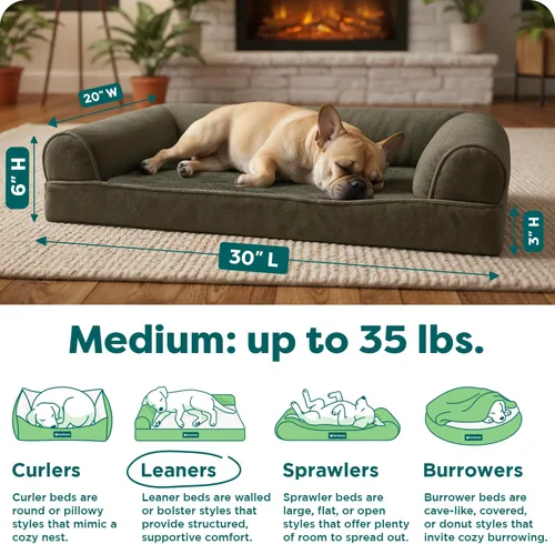 Miniatura 3 de Furhaven Cama ortopédica de espuma para perros, de pelo sintético y terciopelo, con diseño de caja de huevos, color salvia oscura, talla M Dark Sage