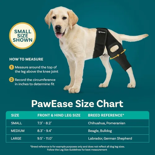 Miniatura 5 de PetCove Rodillera para perro para pierna trasera de Acl desgarrada — Compresión de neopreno, estabilizadores de resorte, correa de soporte de banda