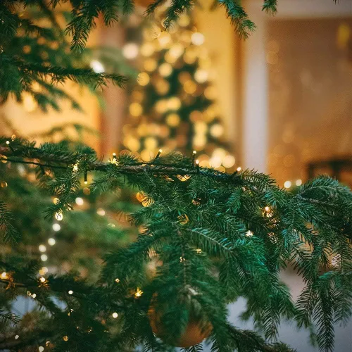 Miniatura 5 de Guirnalda de luces de Navidad con enchufe de extremo a extremo, 8 modos, 108 pies, 300 LED, IP55, impermeable, con certificación UL