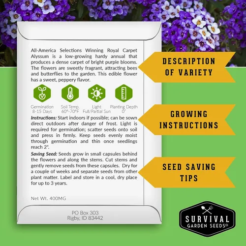Miniatura 2 de Semillas de Alyssum para plantar - Sweet Royal Carpet Purple Alyssum - Flor perenne fragante y cobertura del suelo - Semillas autóctonas