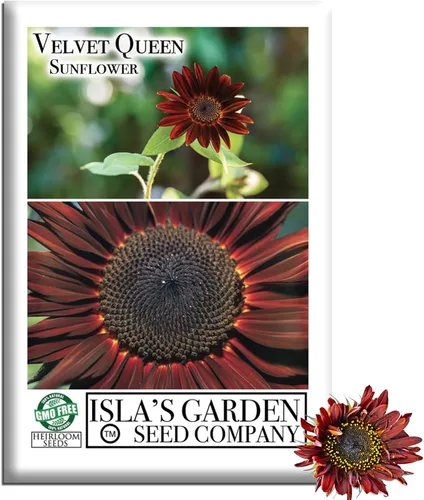 Velvet Queen Mix - Semillas de girasol para plantar, más de 50 semillas por paquete, semillas de jardín de Isla (semillas de jardín de Isla),
