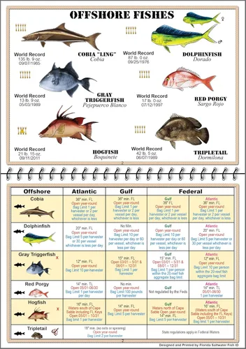 Libro de Identificación de Peces de Agua Salada de Florida con Reglas, Regulaciones, Límites y Tamaños de FWC, Incluye Más de 90 Fotografías Marinas
