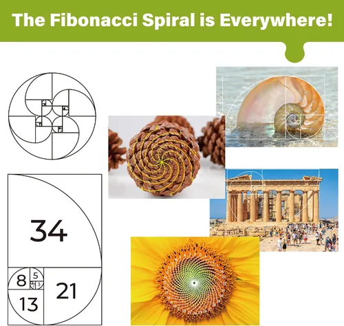 Miniatura 3 de BenBen Rompecabezas de 1000 piezas para adultos, 25 espirales de Fibonacci en la naturaleza, rompecabezas con letras en la parte posterior