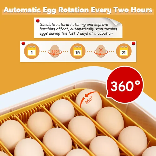 Miniatura 4 de Sailnovo Incubadora de 56 huevos para incubar huevos con giro automático de huevos y humidificación automática, vela de huevos, control de Blanco