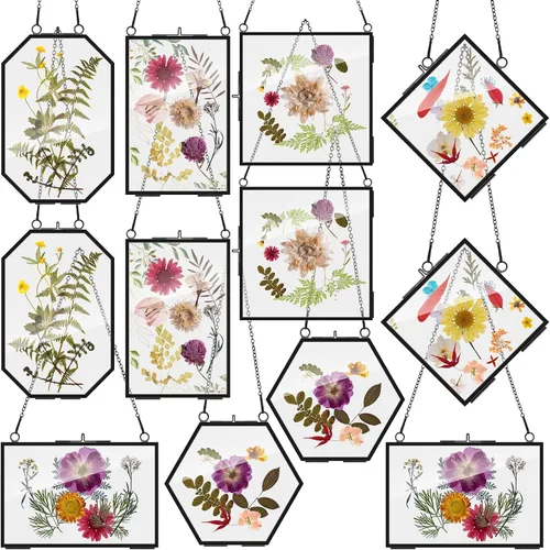 Soaoo 12 Piezas Marco de Vidrio de Latón para Flores Prensadas con Cadena Doble Marco Flotante de Arte para Pared con Hoja de Planta Seca, 6 Formas