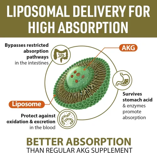 Miniatura 3 de Suplemento AKG de calcio liposomal de 1500 mg (ácido alfa-cetoglutárico), más eficaz que AAKG, Ca AKG para la longevidad, defensa de la edad