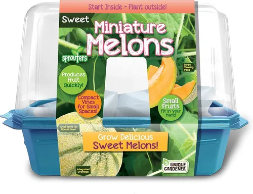 Miniatura 4 de Toys by Nature - Terrario de brotes de plátanos para interiores, suministros completos para cultivar mini plátanos comestibles en casa, las plantas