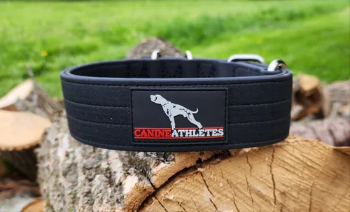 Miniatura 2 de Canine Athletes Collar para perro de trabajo de doble capa impermeable AP-Sport de 2 pulgadas (tamaño pequeño)