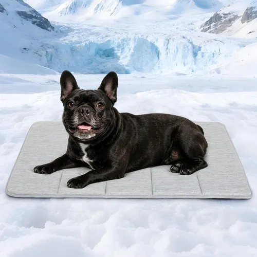 Miniatura 28 de Tapete para jaula para perros de tamaño XL, cama de espuma viscoelástica de 41 x 27 pulgadas, lavable y antideslizante, tapete ultrasuave para Oscuro