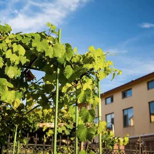 Miniatura 7 de NANOPRETTY Estacas de jardín de 8 pies para soporte de plantas al aire libre, varillas de metal de 0.78 pulgadas de diámetro, postes de metal