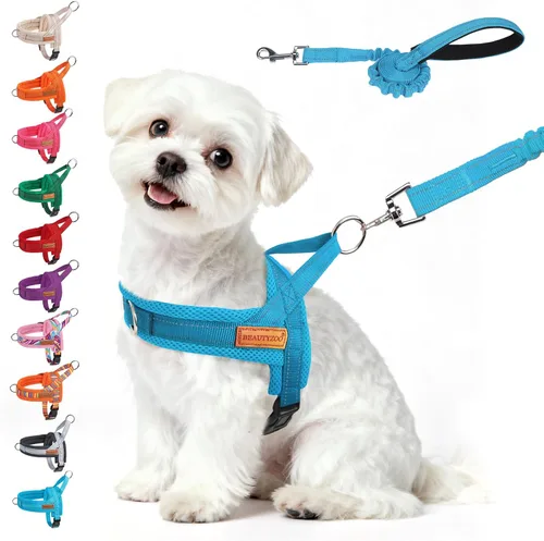 Miniatura 29 de BEAUTYZOO Arnés para Perros Pequeños, Juego de Arnés y Correa sin Tirones, Arnés de Chaleco para Cachorros Suave a Prueba de Escapes con Manija