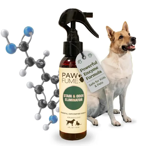 Miniatura 19 de PAWFUME - Perfume en aerosol para perros para aseo, cinta azul, paquete de 1 – Mantén a tu cachorro fresco todo el día – Probiótico, sin alcohol