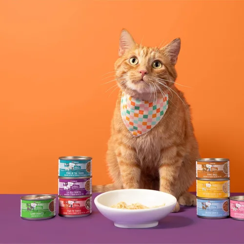 Miniatura 10 de Weruva Cats in The Kitchen, Kitty Gone Wild with Wild Salmon Au Jus - Alimento para gatos, lata de 6 onzas (paquete de 24)