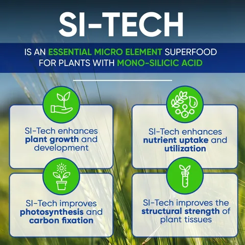 Miniatura 3 de AgroMagen, Si-Tech Solución nutritiva de sílice, ácido monosilícico para plantas con tecnología de quelación (4 onzas líquidas)