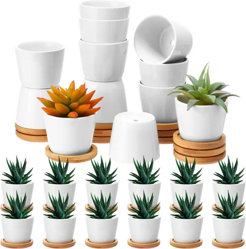 Miniatura 7 de Hsei Pack de 24 Macetas Mini de 2.5 Pulgadas para Suculentas, Macetas Pequeñas de Cerámica con Bandeja de Bambú para Jardín, Cactus, Hierbas