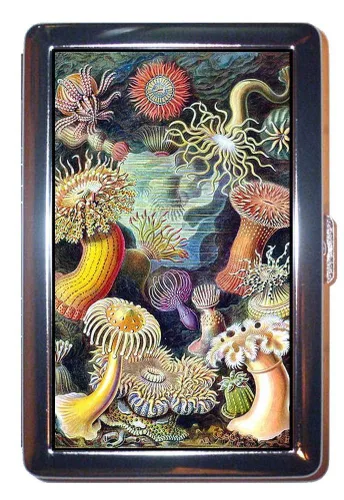 Anémona de mar Steampunk Arte victoriano colorido: identificación de acero inoxidable o caja de cigarrillos (tamaño King o 3.937 in)