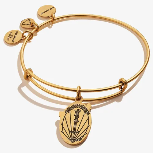 Miniatura 2 de Alex and Ani Divine Guides - Pulsera extensible para mujer, dije grabado del arcángel Miguel, acabado rafélico, 2 a 3.5 pulgadas