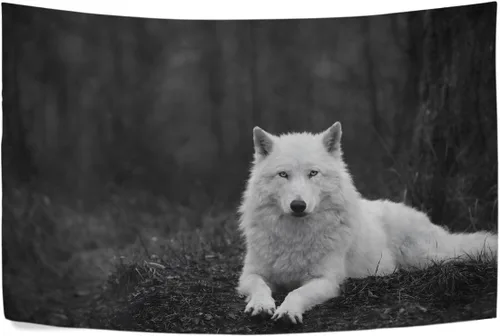 Miniatura 3 de WellLee Tapiz de tela de lobo solitario con diseño de lobo, para dormitorio, decoración del hogar, 60 x 40 pulgadas