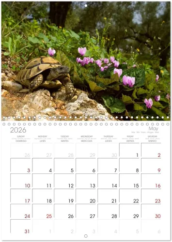 Miniatura 9 de REPTILES (calendario mensual de pared 2022 11.7 x 16.3 in (abierto)