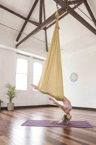 Miniatura 7 de Pinc Active Silk Aerial Yoga Swing & Hammock Kit for Improved Yoga Inversions, Flexibility & Core Strength