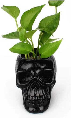 Miniatura 2 de Mikayoo Soporte para bolígrafo de calavera – Soporte para brochas de maquillaje y caja de almacenamiento para escritorio de oficina o tocador, Negro