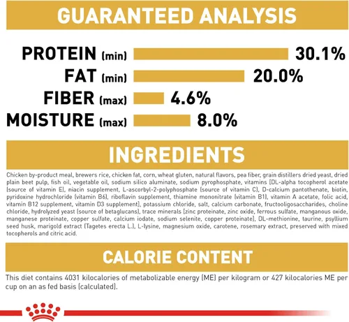 Miniatura 7 de Comida seca para gatitos persas de Royal Canin Nutrición para razas felinas, bolsa de 3 libras