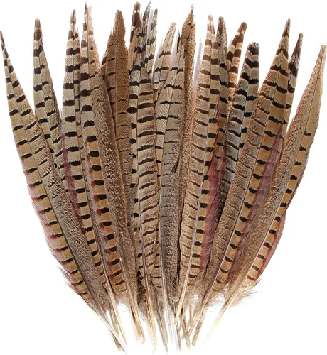 Miniatura 10 de 20 plumas de faisán hembra, plumas naturales de cola de cuello anillado, 6-8 pulgadas, 15-20cm para manualidades, hogar, boda, fiesta, actuación