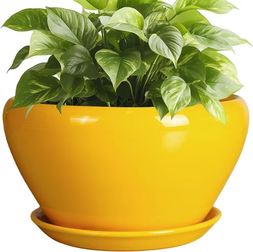 Miniatura 32 de Maceta de Cerámica Moderna con Esmalte para Suculentas con Agujero de Drenaje y Platillo, Maceta Redonda de 6 Pulgadas para Plantas de Flores