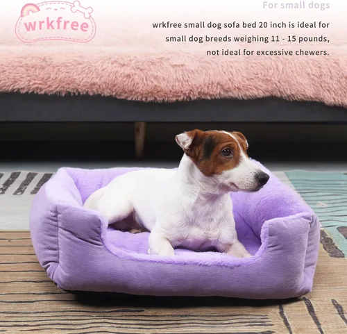 Miniatura 6 de Cama para perros pequeños, de 20 pulgadas, para perros pequeños, cama rectangular suave para cachorros con superficie de felpa, cama lavable