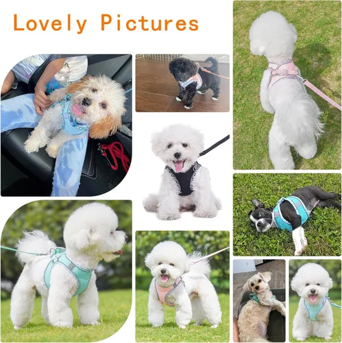Miniatura 6 de Lindo arnés a cuadros para perros pequeños, de malla suave, arnés y correa para perros pequeños, arnés y correa para perros pequeños, chaleco
