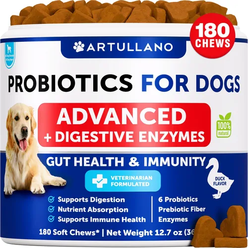 Probióticos para Perros - Apoyo para la Salud Intestinal, Picor en la Piel, Alergias, Inmunidad, Equilibrio de Levadura - Probióticos para Perros y