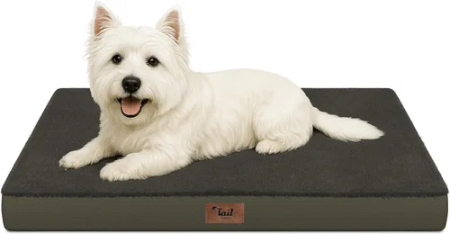 Miniatura 52 de Cama ortopédica de felpa para perros y cachorros medianos, camas impermeables para perros de 30 x 20 pulgadas con funda extraíble lavable, tapete