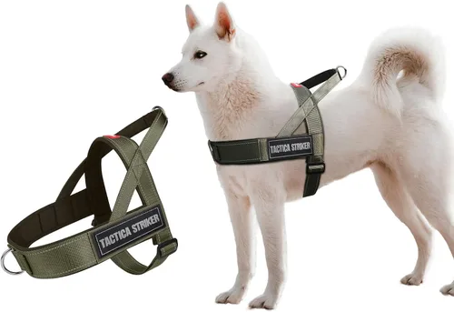 Miniatura 12 de Arnés para perro, chaleco ajustable mejorado a prueba de escapes, para caminar al aire libre, chaqueta suave y transpirable con tiras reflectantes