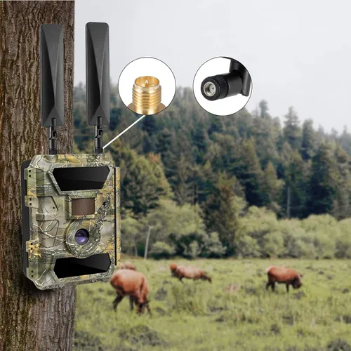 Miniatura 5 de 9dBi RP-SMA macho 4G LTE Cámara celular Trail Antena de largo alcance compatible con Spypoint Tactacam Stealth Cam y más cámara de rastro celular