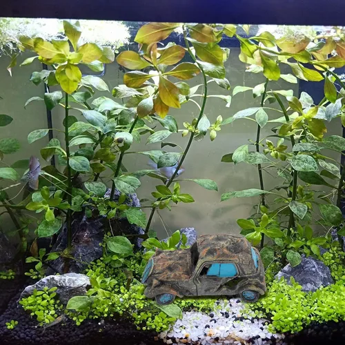 Miniatura 7 de Mipcase Paisajismo Escondite Acuario Paisaje Tanque Peces Camarones Decoración Ornamento Gris Cabaña Cuevas Decoración Escondite Adornos Automóvil