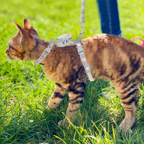 Miniatura 7 de TIESOME Juego de arnés y correa para gato, arnés ajustable degradado para gatito, arnés a prueba de escapes con correa para caminar al aire libre